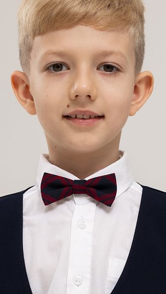 Фото galstuk-babocka-sine-bordovaa-kletka-02 товару Краватка метелик синьо-бордова клітинка0