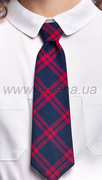 Фото galstuk-erudit-11 товару Краватка Ерудит1