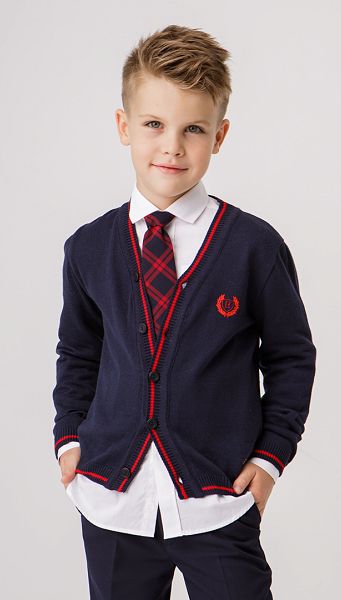 Фото galstuk-erudit-12 товару Краватка Ерудит