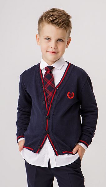 Фото galstuk-erudit-12 товару Краватка Ерудит1