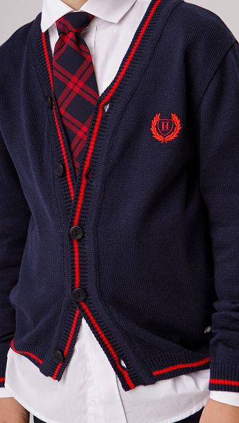 Фото galstuk-erudit-14 товару Краватка Ерудит1