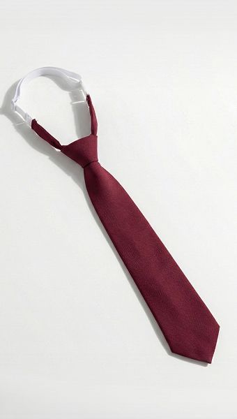 Фото galstuk-zenskij-bordovyj-02 товару Краватка жіноча бордова0 Фото galstuk-zenskij-bordovyj-02 товару Краватка жіноча бордова0