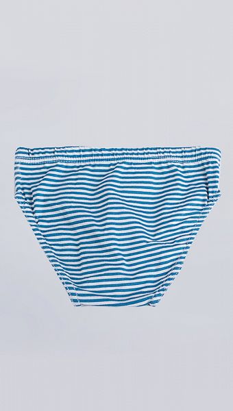 Фото 102824-12 товару Труси дитячі E761921(Син